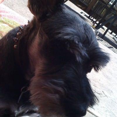 photo of Jennifer R.