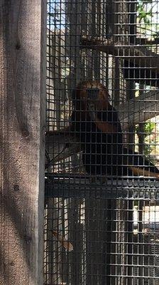 photo of Abbygail C.