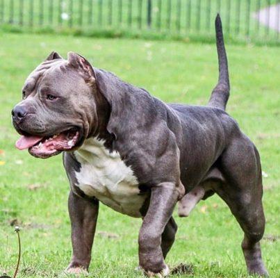 photo of Chi Ma Ko G.