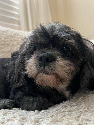 photo of Mirancodo Q.