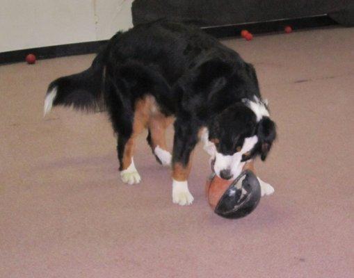 photo of Samantha W.