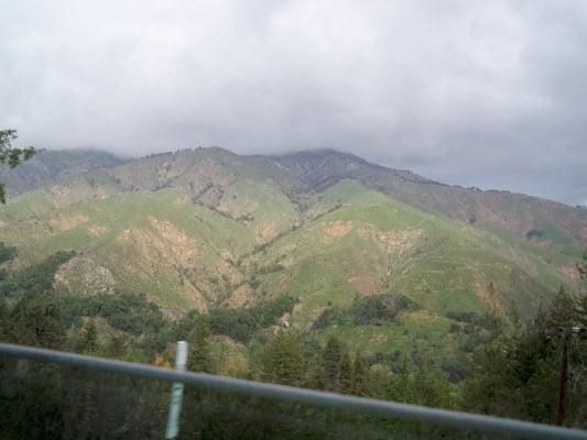 Photo of L F.