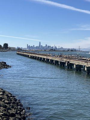 photo of Franchesco P.