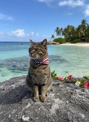 photo of Christopher P.