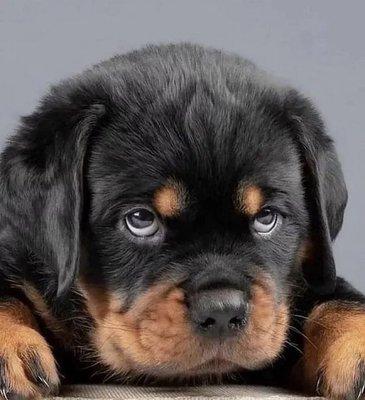 photo of Keeping Them Honest H.