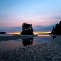 Photo of Michelle S.