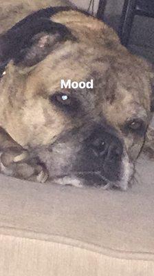 photo of Veronica S. G.