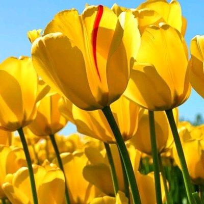 photo of Victoria O.