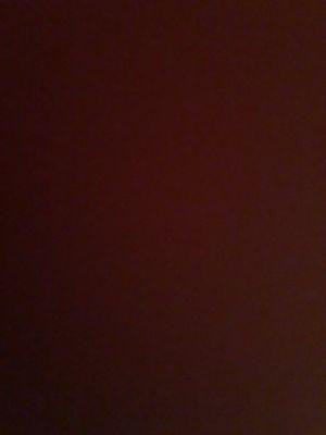 Photo of Kaitlyn A.