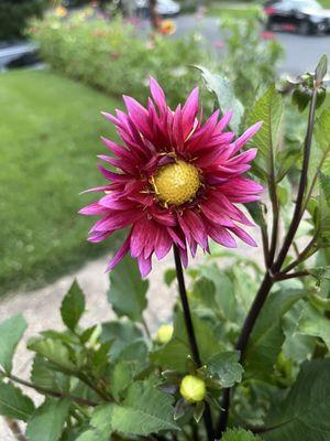 photo of Kimberly T.