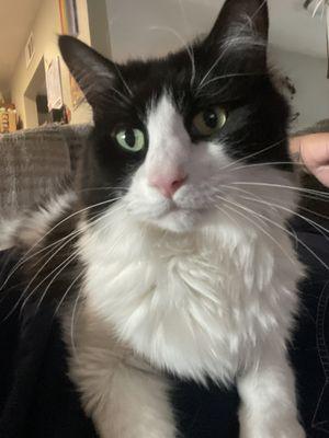 photo of VJennifer M.