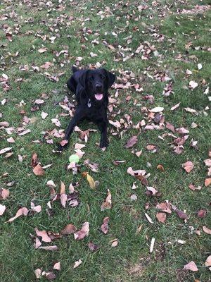 photo of Meredith W.