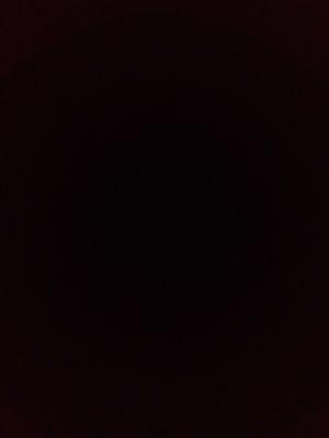 Photo of Cenia C.