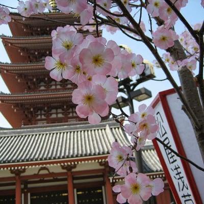 photo of Jacqueline Y.