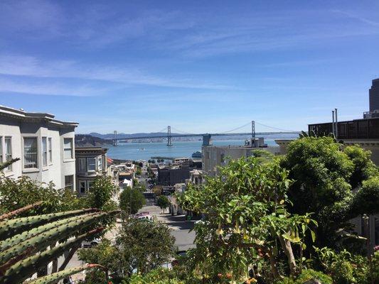 photo of Mrs.McFl y.