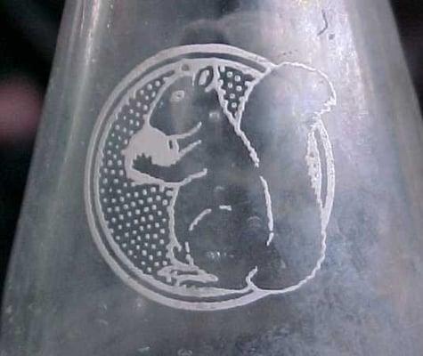 photo of Aloysius M.