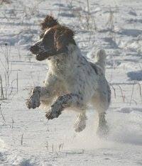 photo of Catherine L.