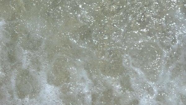 photo of Marianne M.