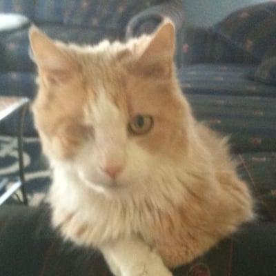 Photo of Gus T.