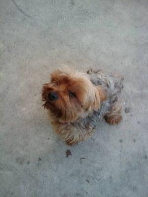 Photo of Uriel P.
