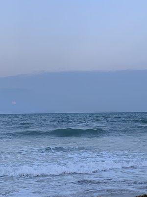 Photo of Kathleen H.