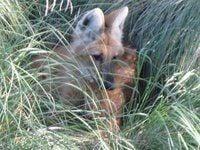 photo of Mercedes B.