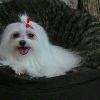 Photo of Maggie F.