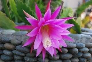 photo of Jennifer T.