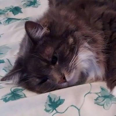 photo of Ashleigh P.