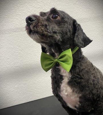 photo of Amy Wernett ..