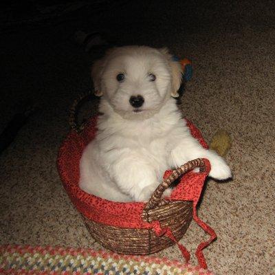 photo of Nancydee M.