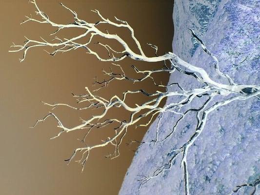 photo of Danielle O.