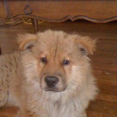 photo of Michelle A.