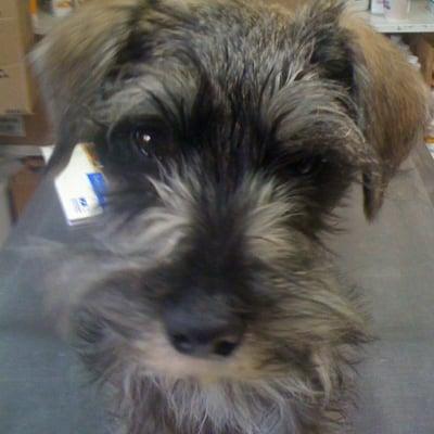 photo of Jennifer G.