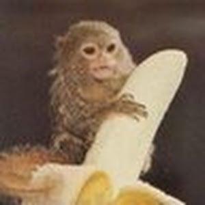 Photo of Alec M.