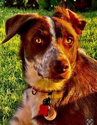 photo of Marjorie Y.