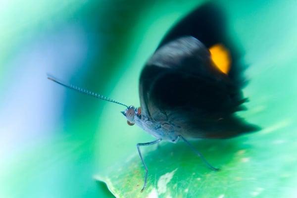 photo of Eslinger M.