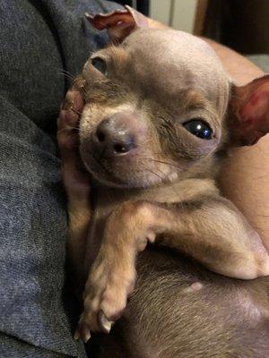 photo of Jonathan B.