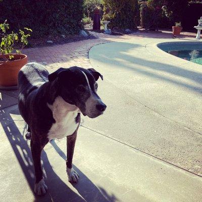 photo of Karla K. I.