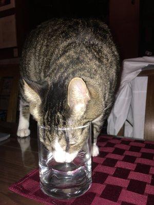 photo of Alexander M.