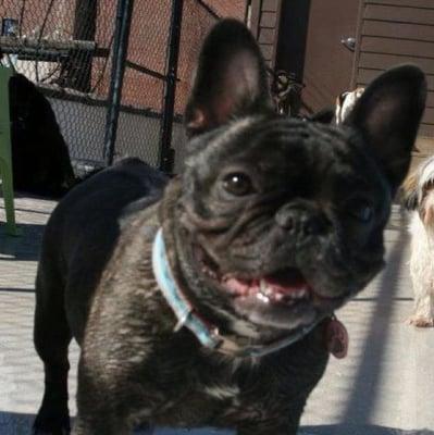 Photo of Traci D.