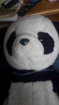 photo of Stephanie L.