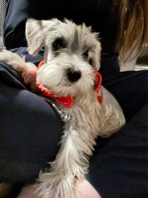 photo of Gretchen V.