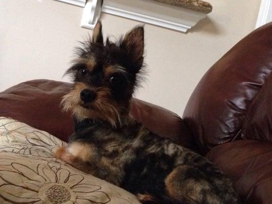 photo of Marilena Carmen H.