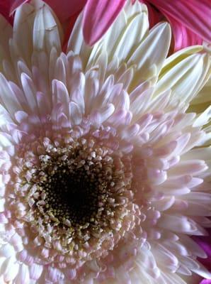 photo of Marguerite H.