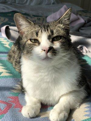 photo of Twoeagles W.