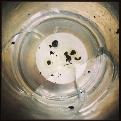 photo of Bradford H.