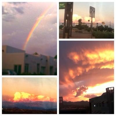 photo of Stephanie K.