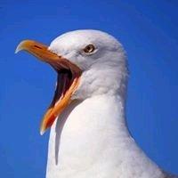 photo of Laurence W.