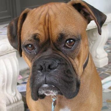 photo of Margaret A.